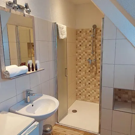Mansky Dvur Guest house Dolni Zandov