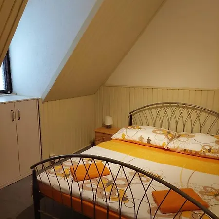 Mansky Dvur Guest house Dolni Zandov