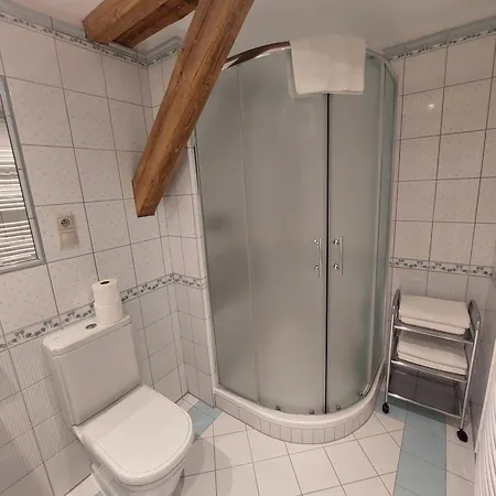 Mansky Dvur Guest house Dolni Zandov