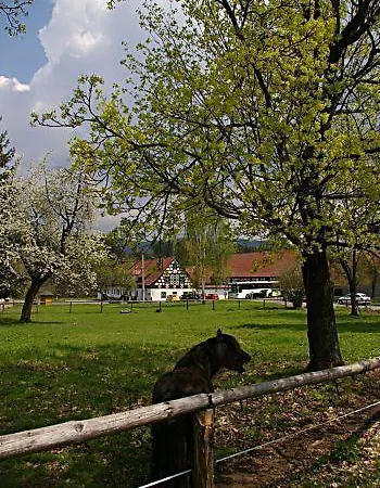 Guest house Mansky Dvur